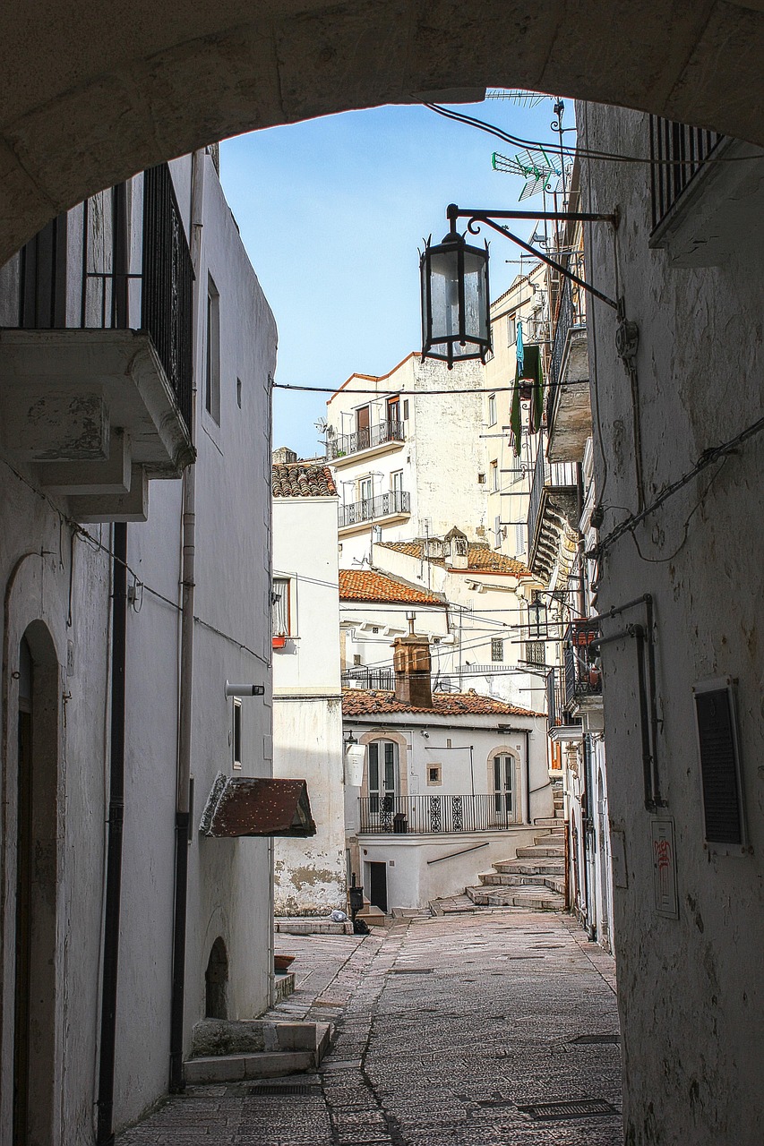 homes, old village, town-3988906.jpg